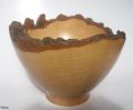 boisdarbres-christophe - galerie