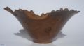 boisdarbres-christophe - galerie