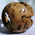 boisdarbres-christophe - galerie ll