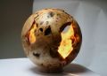 boisdarbres-christophe - galerie ll