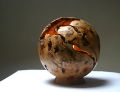 boisdarbres-christophe - galerie ll