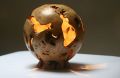 boisdarbres-christophe - galerie ll