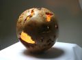 boisdarbres-christophe - galerie ll