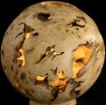 planète tilleul - galerie lll