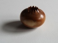 boisdarbres-christophe - galerie IV